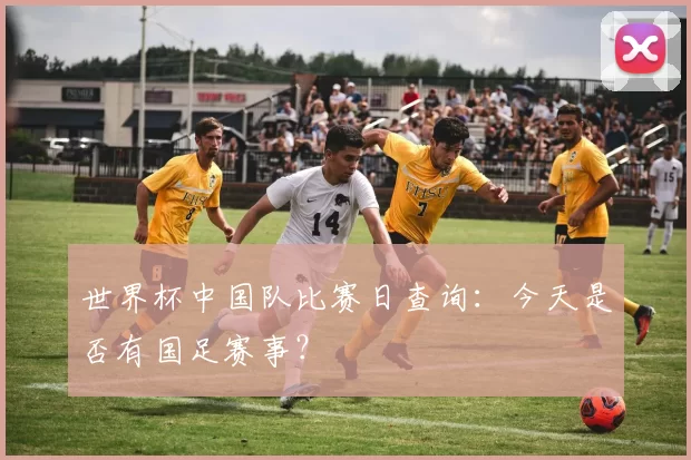 世界杯中国队比赛日查询：今天是否有国足赛事？