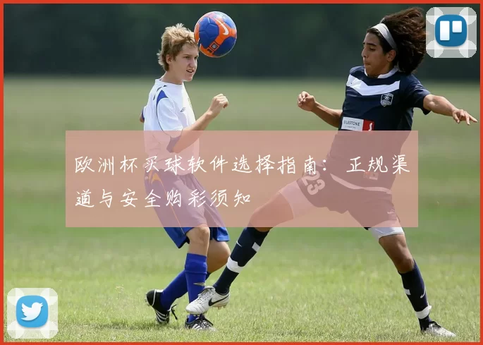 欧洲杯买球软件选择指南：正规渠道与安全购彩须知