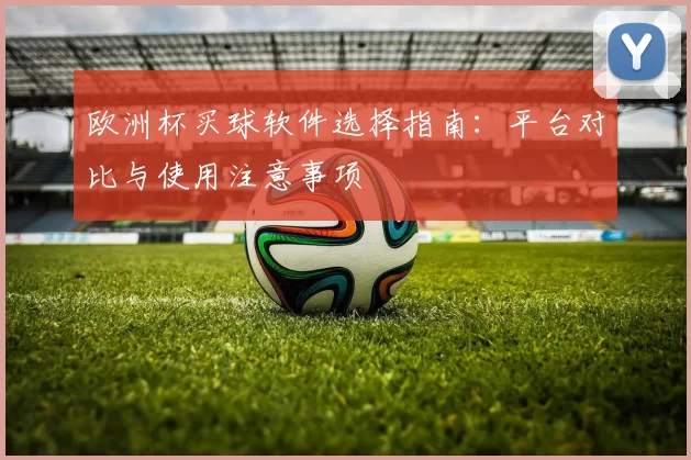 欧洲杯买球软件选择指南：平台对比与使用注意事项