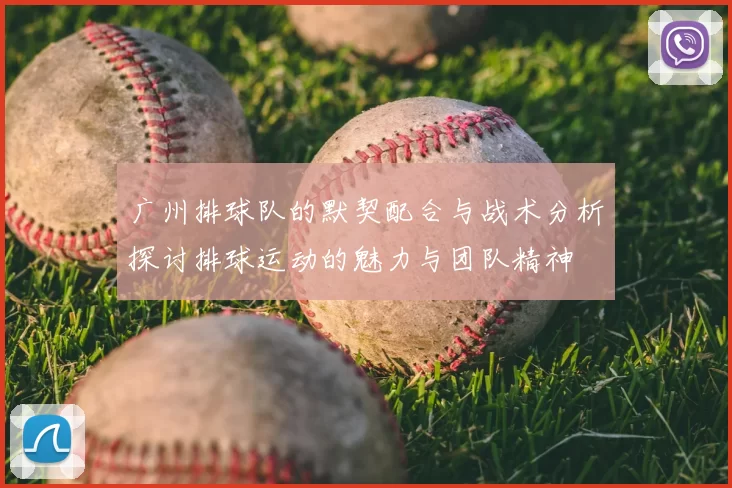 广州排球队的默契配合与战术分析探讨排球运动的魅力与团队精神