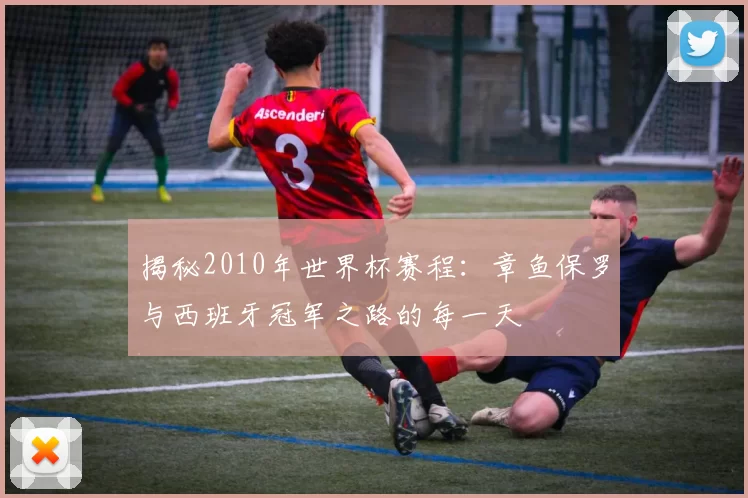 揭秘2010年世界杯赛程：章鱼保罗与西班牙冠军之路的每一天