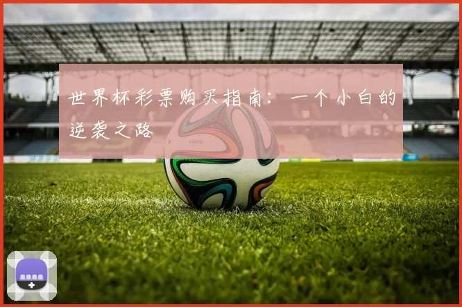 世界杯彩票购买指南：一个小白的逆袭之路