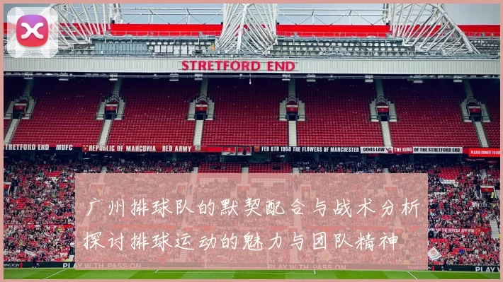 广州排球队的默契配合与战术分析探讨排球运动的魅力与团队精神