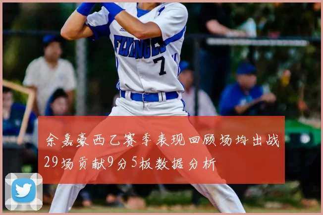 余嘉豪西乙赛季表现回顾场均出战29场贡献9分5板数据分析