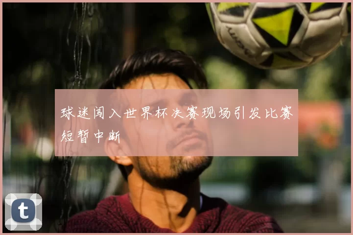 球迷闯入世界杯决赛现场引发比赛短暂中断