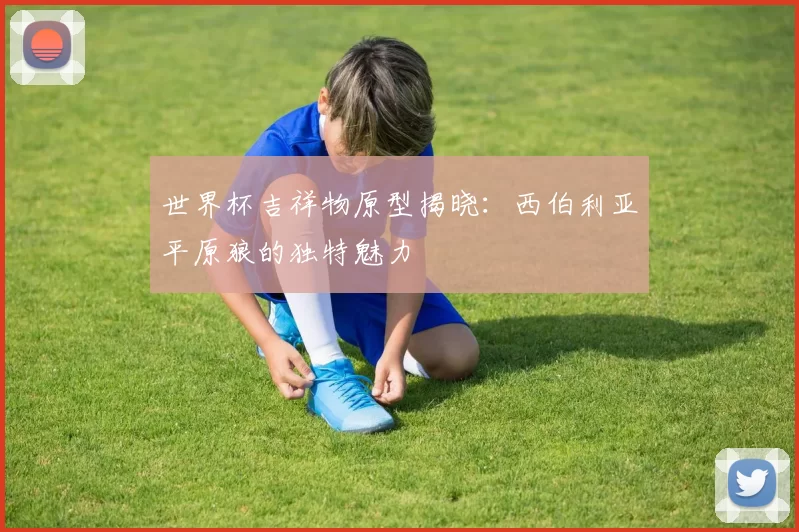 世界杯吉祥物原型揭晓：西伯利亚平原狼的独特魅力