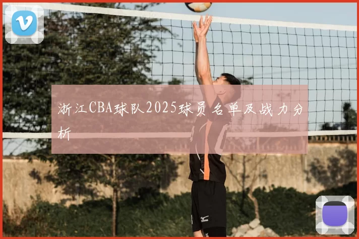 浙江CBA球队2025球员名单及战力分析